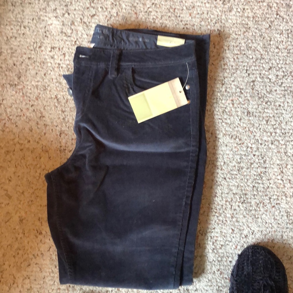 NWT Sonoma blue corduroy boot cut jeans women's size 16 avg